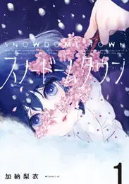 スノードームタウン